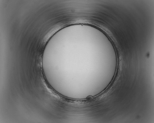 X0000116321241200912221352