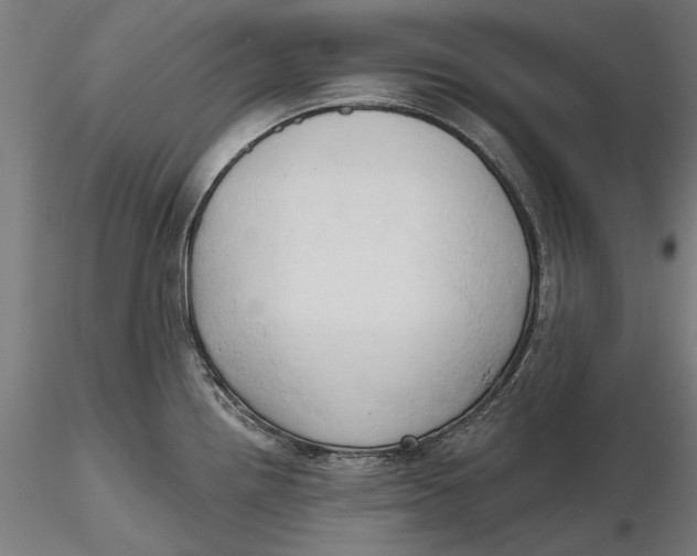 X0000116321242200912221352