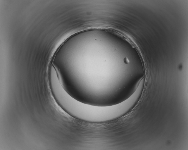 X0000116321243200912221352