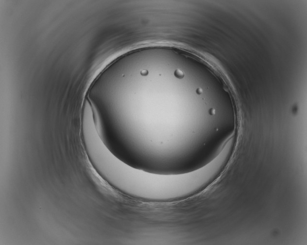 X0000116321244200912221352