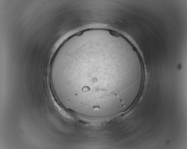 X0000116321245200912221352