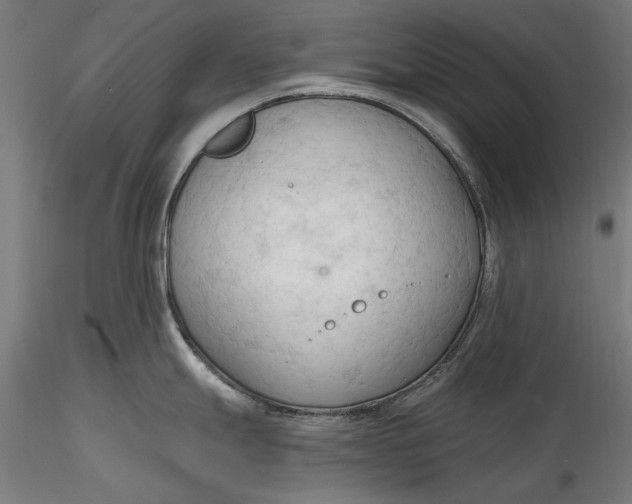 X0000116321247200912221352