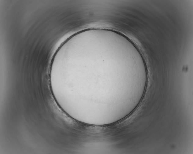 X0000116321248200912221352