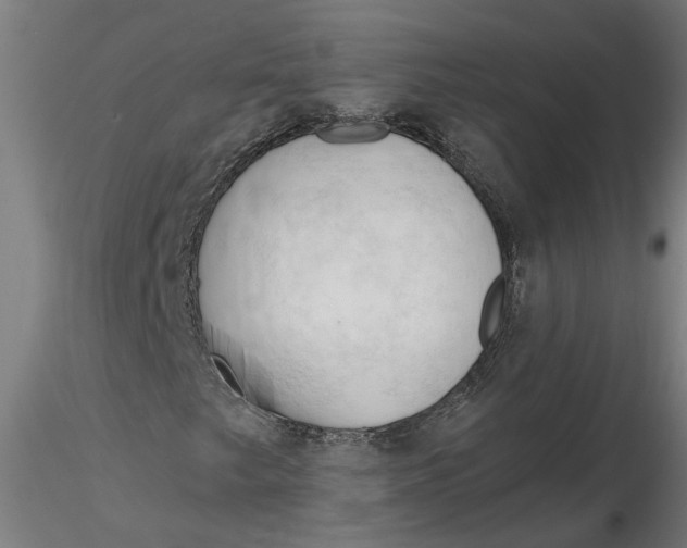 X0000116321249200912221352