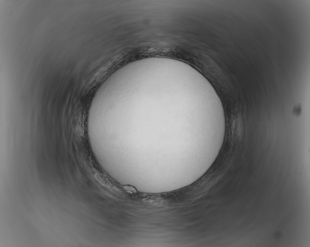 X0000116321250200912221351