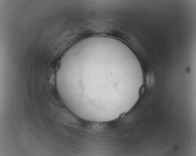 X0000116321251200912221351