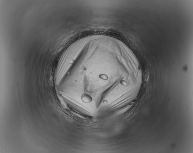 X0000116321252200912221351