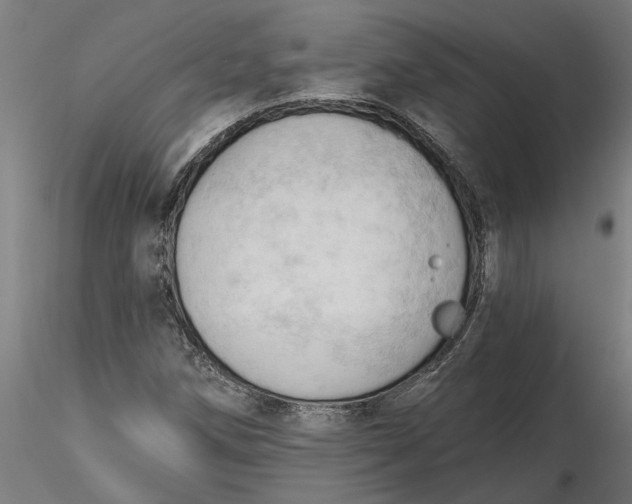 X0000116321258200912221351