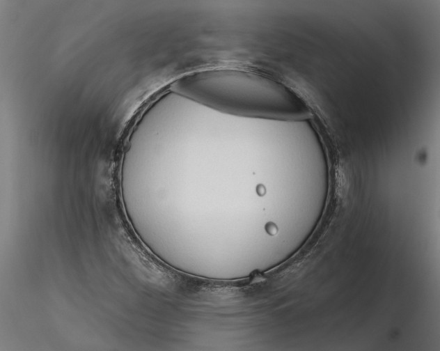 X0000116321260200912221351