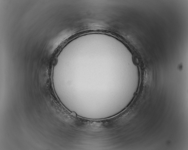 X0000116321261200912221351