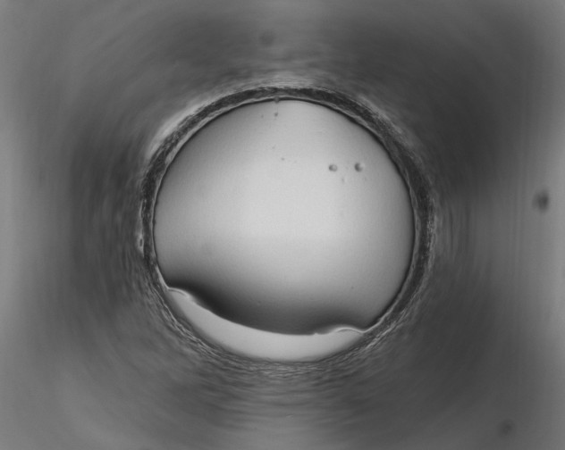 X0000116321262200912221351