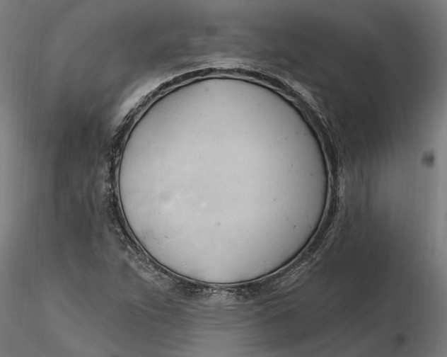 X0000116321263200912221351