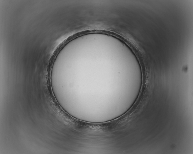 X0000116321264200912221351