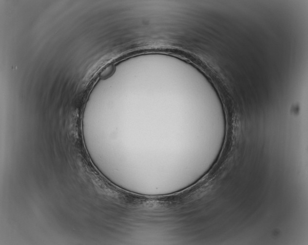 X0000116321265200912221351