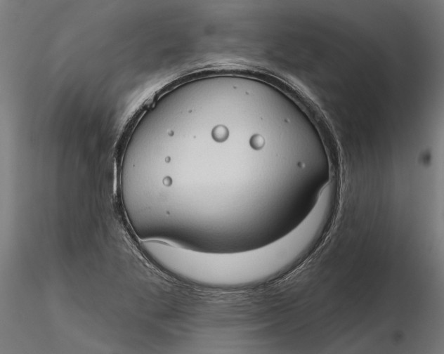 X0000116321269200912221351