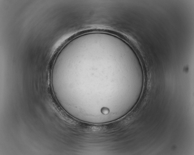 X0000116321271200912221351