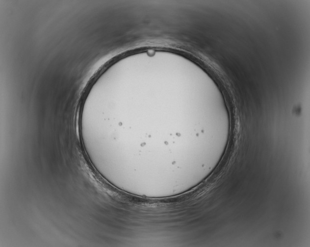 X0000116321272200912221351