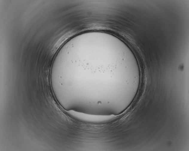 X0000116321273200912221351