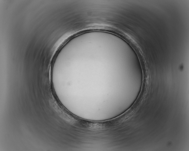 X0000116321275200912221351