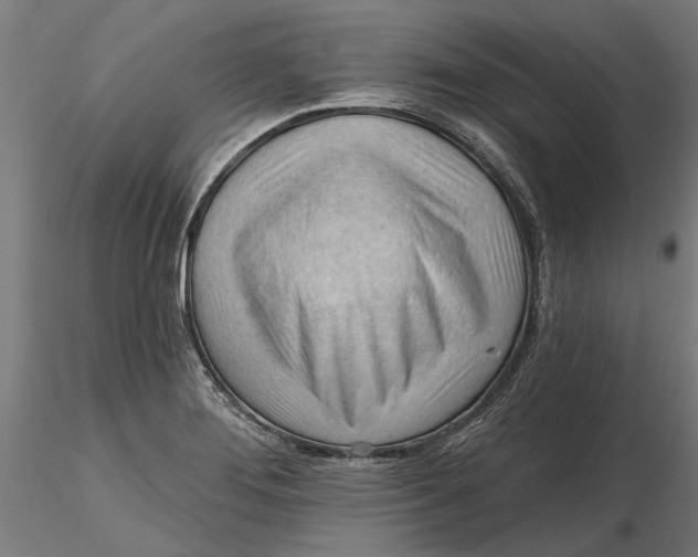 X0000116321276200912221351