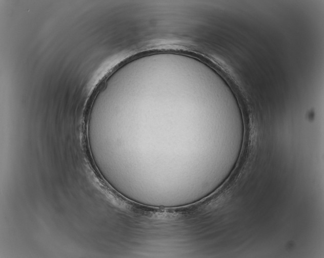 X0000116321277200912221351