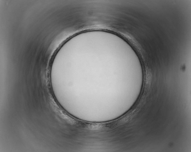 X0000116321278200912221351