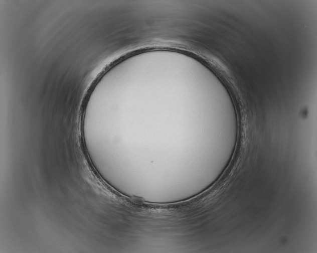 X0000116321280200912221351