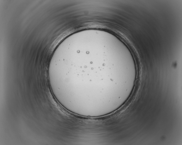 X0000116321281200912221351