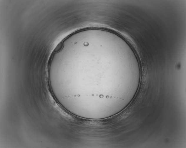 X0000116321287200912221351