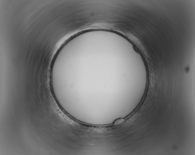 X0000116321288200912221351