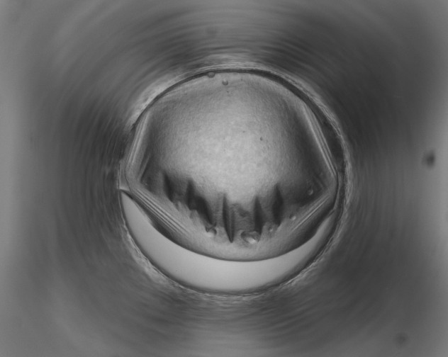 X0000116321289200912221351