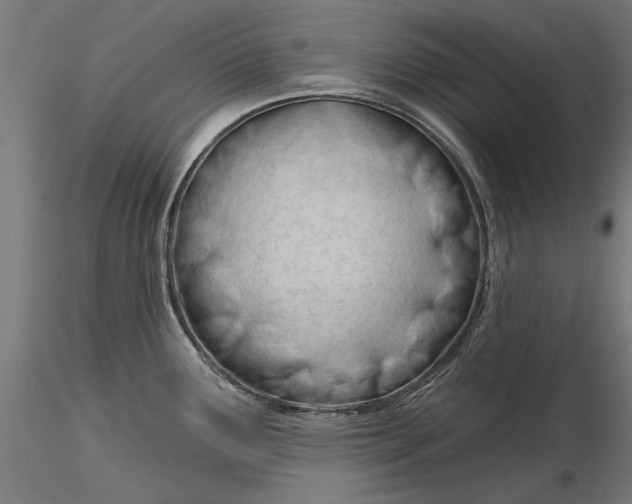 X0000116321291200912221351