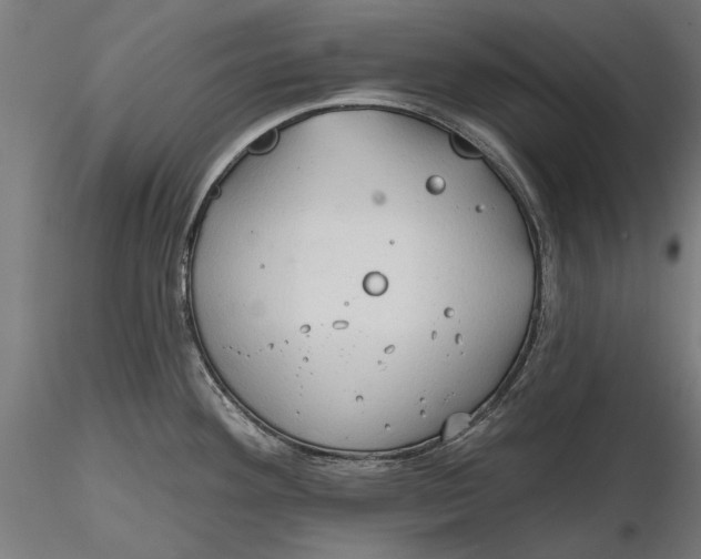 X0000116321292200912221351