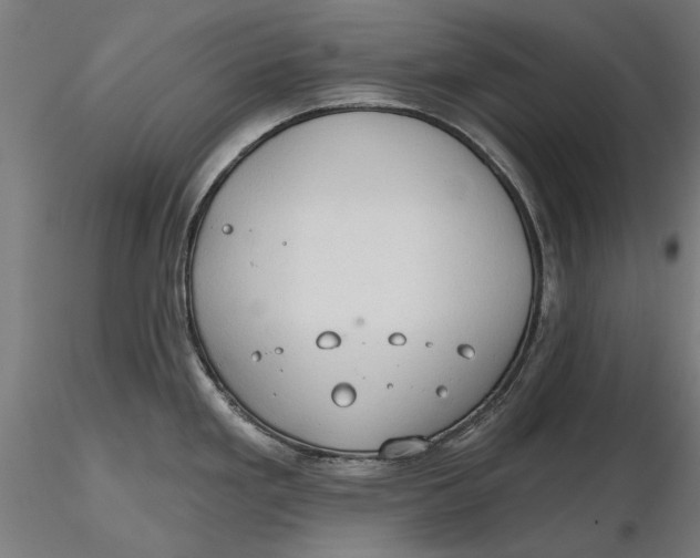 X0000116321293200912221351