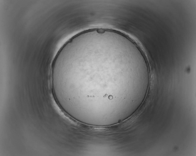 X0000116321295200912221351