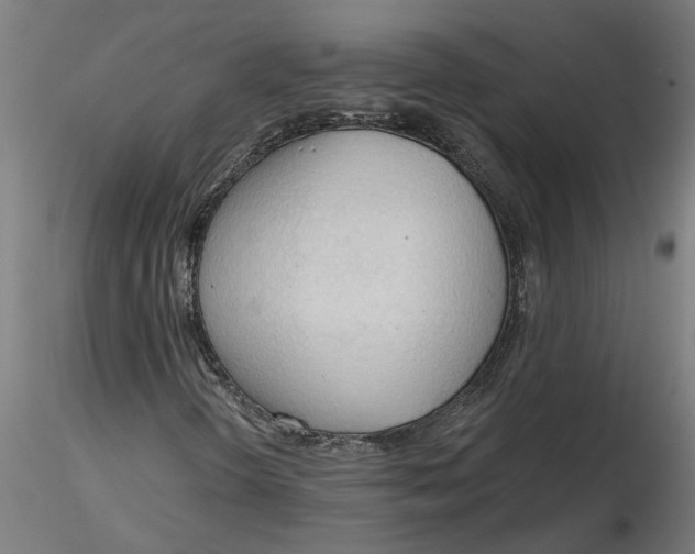 X0000116321298200912221350