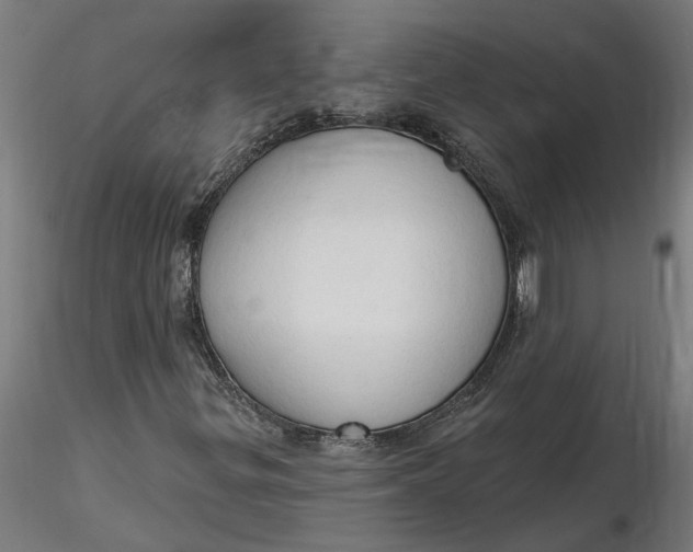 X0000116321299200912221350