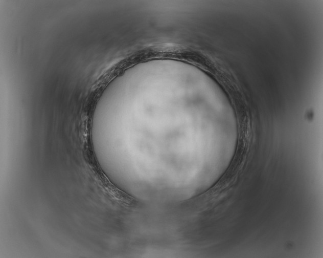 X0000116321301200912221350