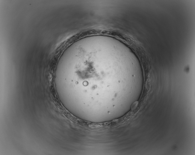 X0000116321302200912221350