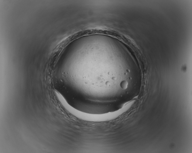 X0000116321303200912221350