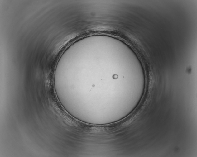 X0000116321305200912221350