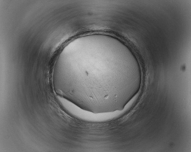 X0000116321306200912221350