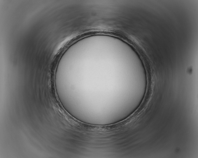 X0000116321307200912221350