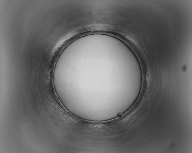 X0000116321309200912221350