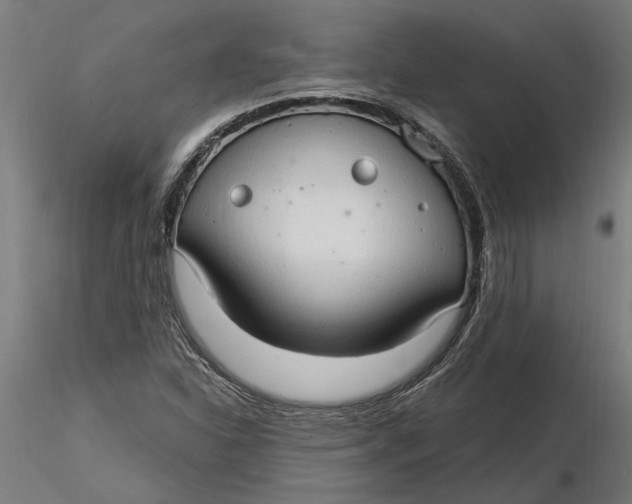 X0000116321310200912221350