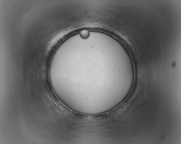 X0000116321311200912221350