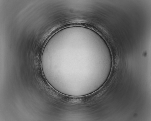 X0000116321313200912221350