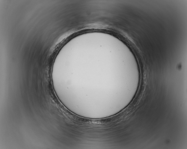 X0000116321315200912221350