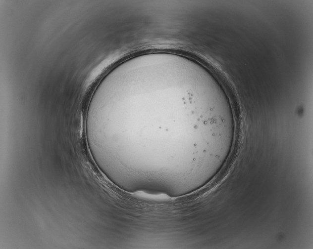 X0000116321317200912221350