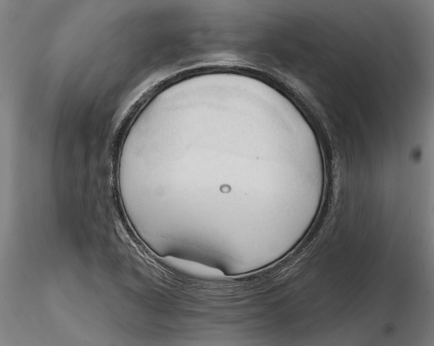 X0000116321318200912221351